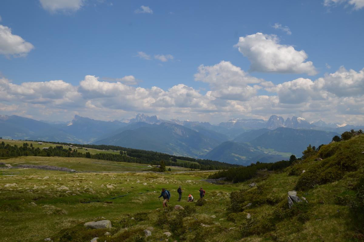 Platzer Alm 15.06.2023